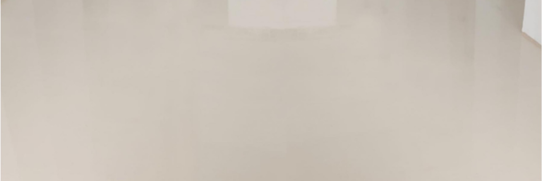 carrusel-autonivelantes-imagen2